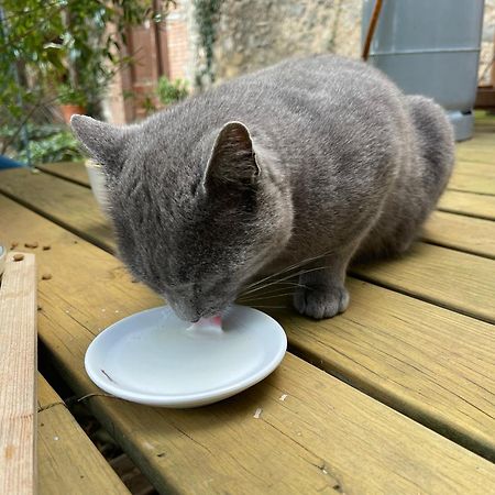 הוילה Sobrestany Santa Caterina - Dog Friendly With Garden מראה חיצוני תמונה